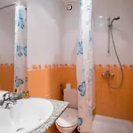 Hotel Perla Plaza 3*